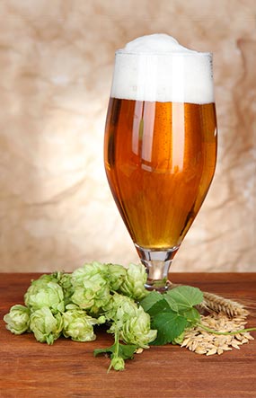 Hops & Beer