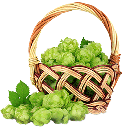 Basket of Hops