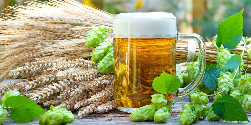 Summer beer on table with hops and wheat