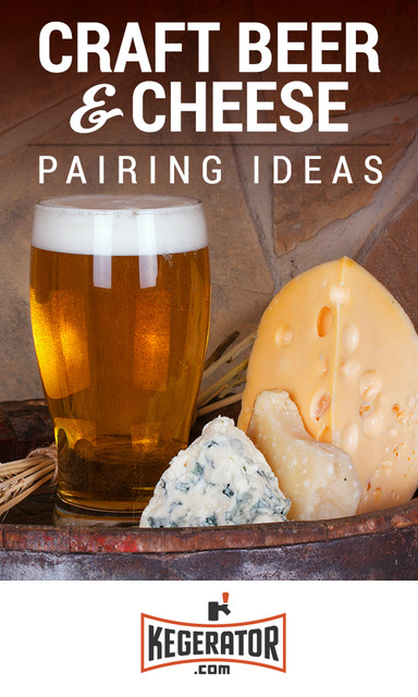 craft beer and cheese pairing - pin