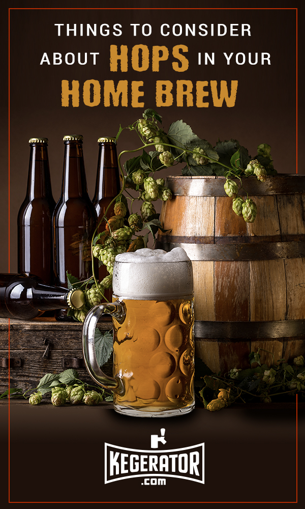 Hops in your home brew - pin