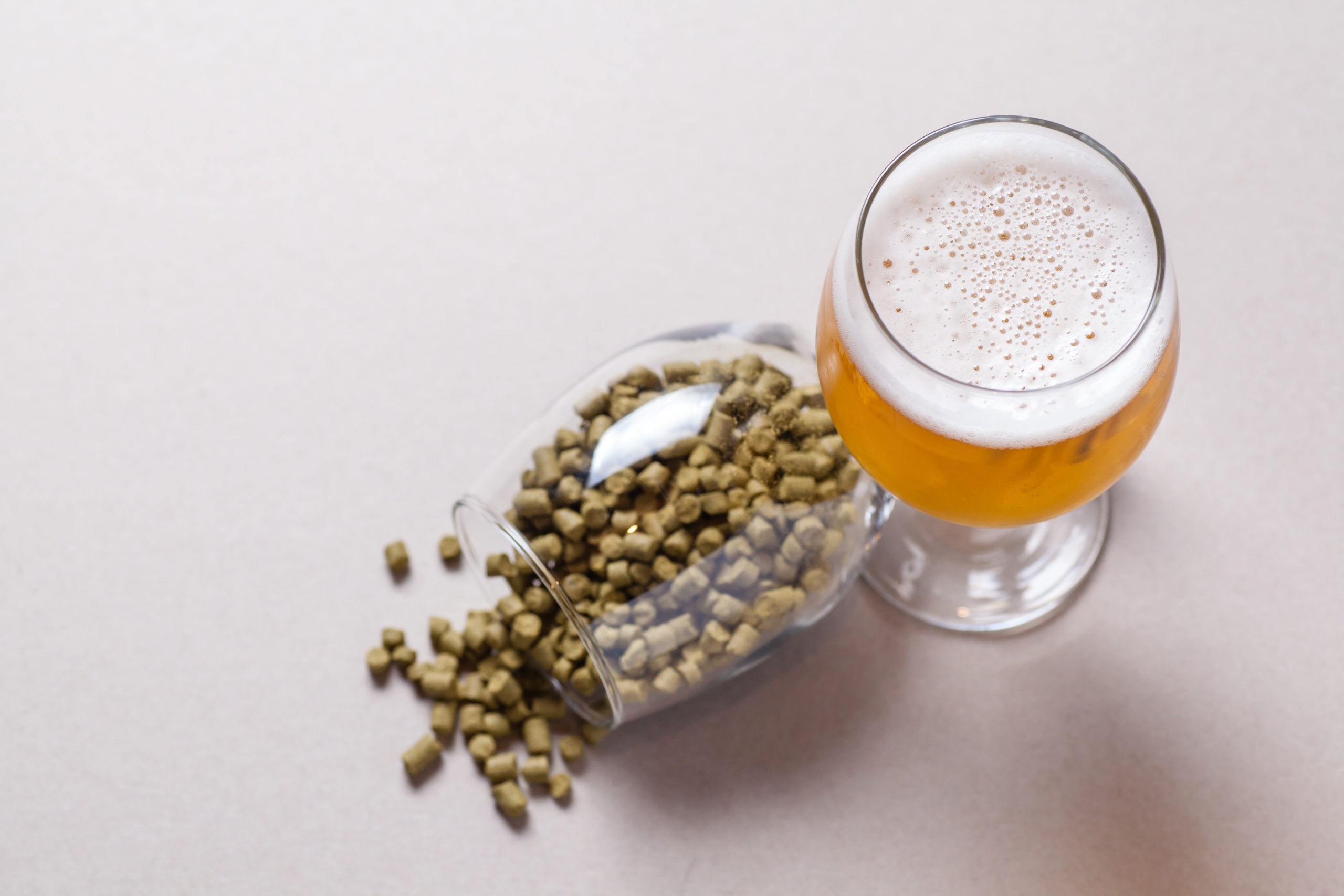 glass of pale ale with spilled glass of hop pellets