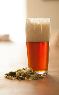 Hops and Homebrew