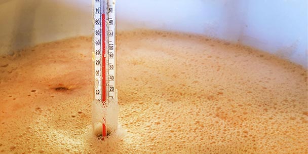 How to Test & Calibrate Your Brewing Thermometer