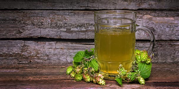 How to Make Tea from Beer Hops