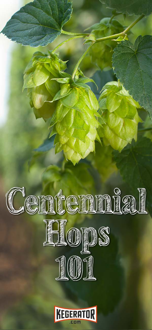 Centennial Hop Profile: Tips to Brewing Beer With This Hop