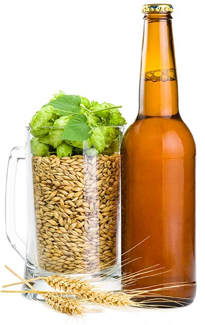 Specialty Grains for Homebrewing