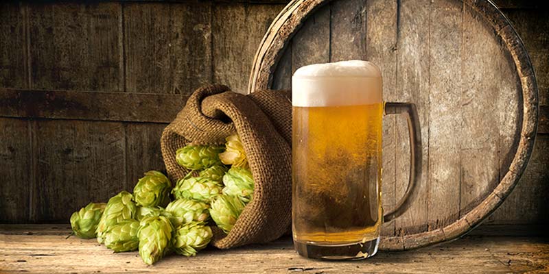 10 Reasons To Start Homebrewing