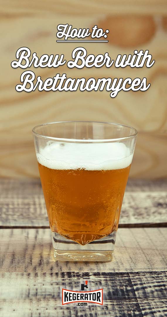 How to Brew Beer with Brettanomyces