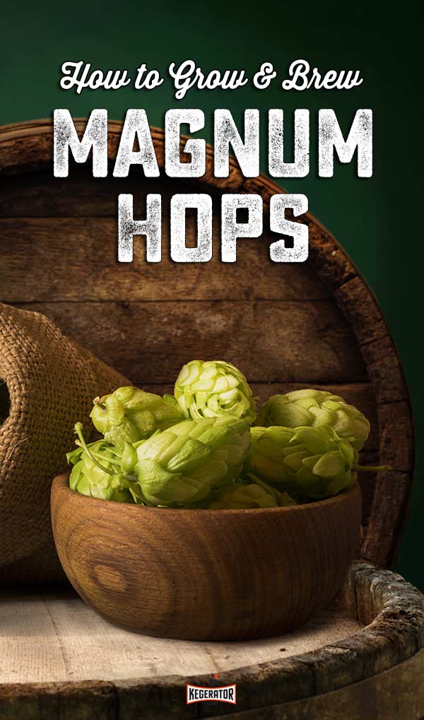 How to Grow & Brew Magnum Hops