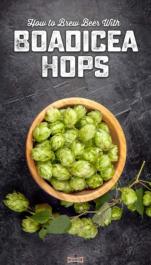 How to Brew Beer With Boadicea Hops