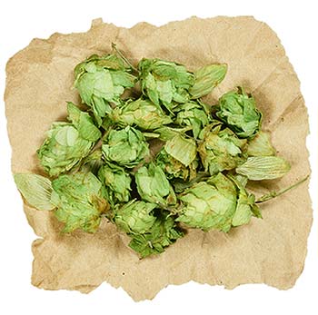 South African Hops