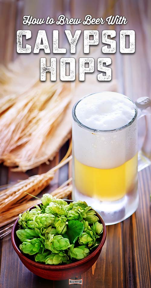 How to Brew Beer With Calypso Hops
