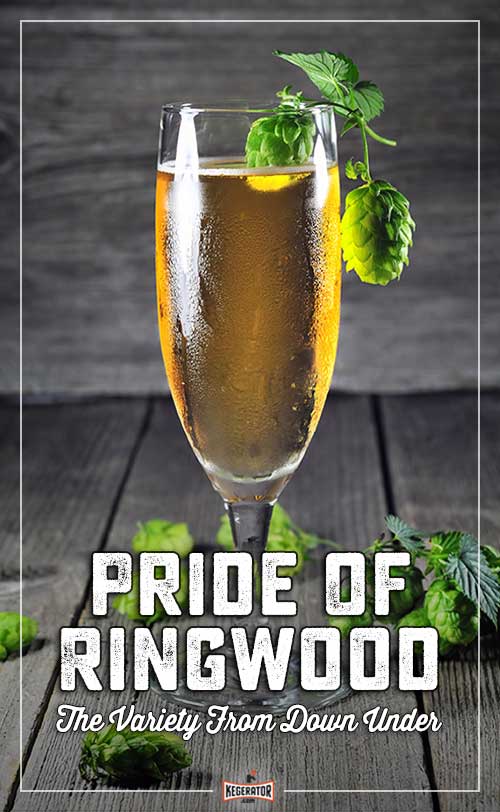 How to Brew Beer With Pride of Ringwood Hops