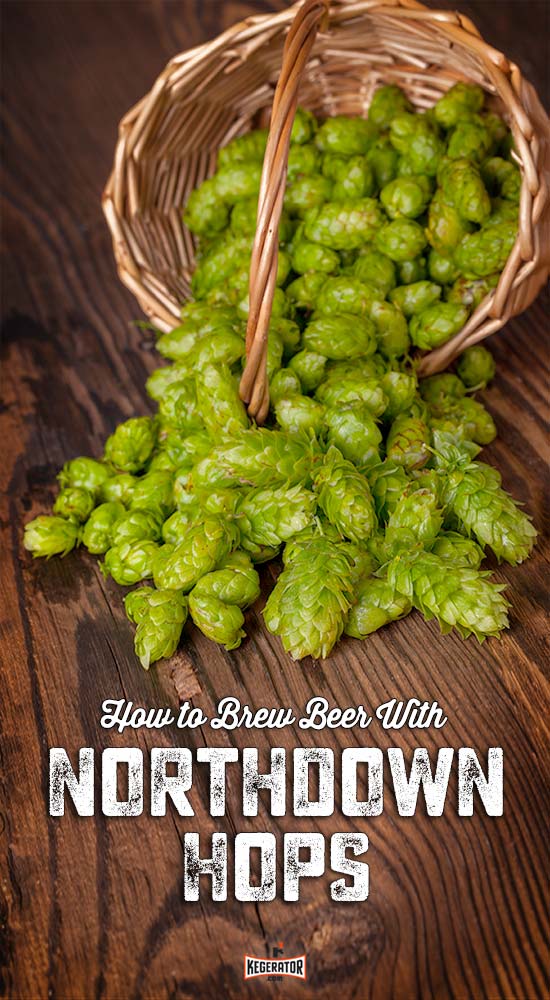 How to Brew Beer With Northdown Hops