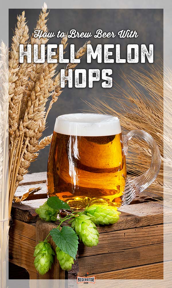 How To Brew Beer With Huell Melon Hops