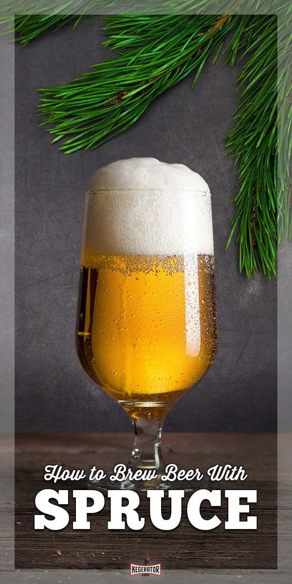 How to Brew Beer With Spruce