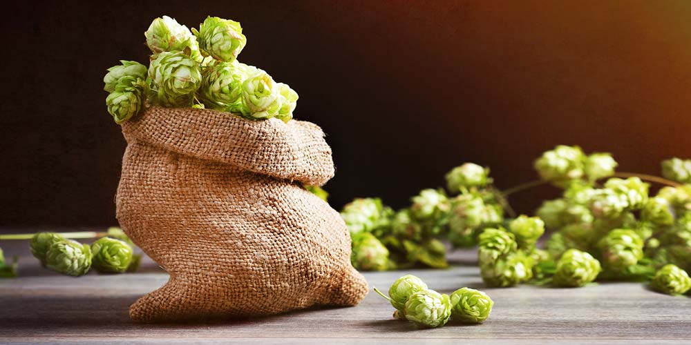 Loral Hops