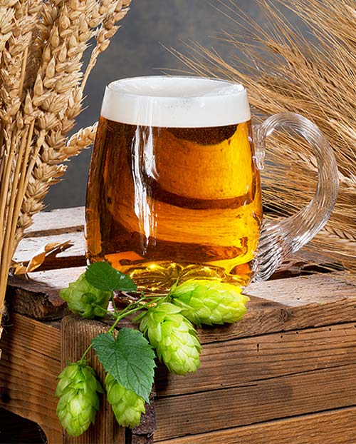 Ekuanot Hops & Beer