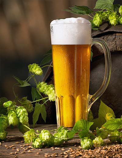Light Beer With Cashmere Hops